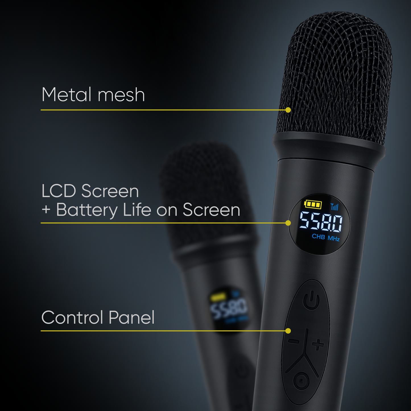 Duo Wireless Microphone