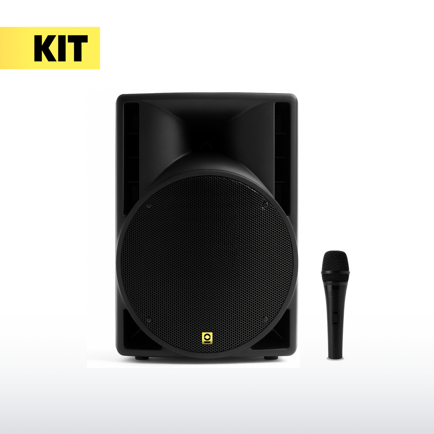 10 Inch Pro Active PA Speaker Kit