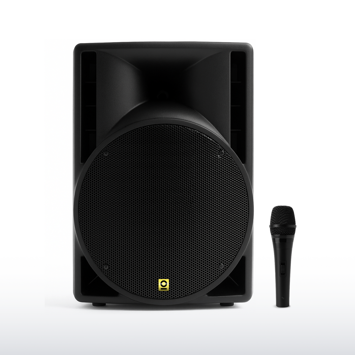 10 Inch Pro Active PA Speaker Kit