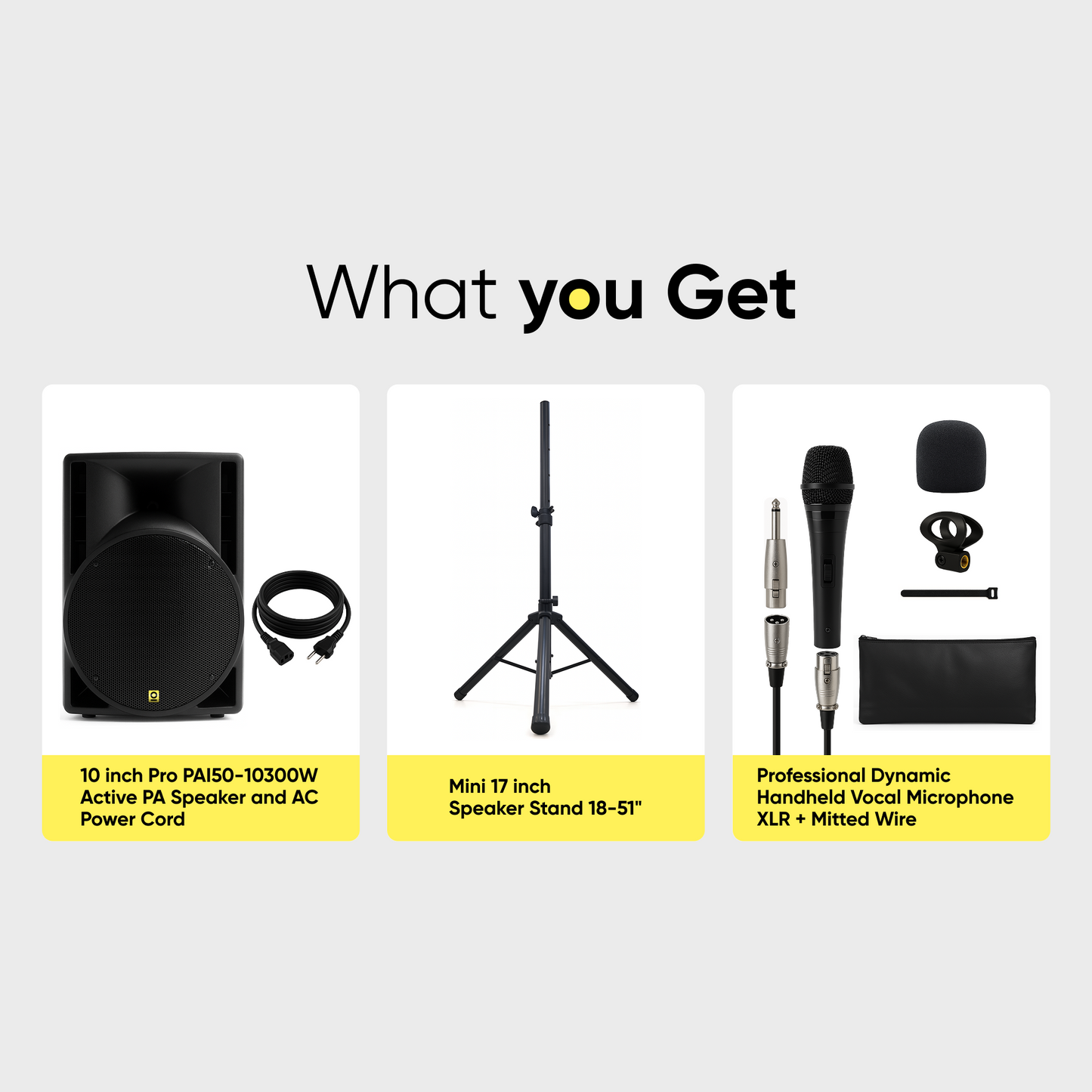 10 Inch Pro Active PA Speaker Kit