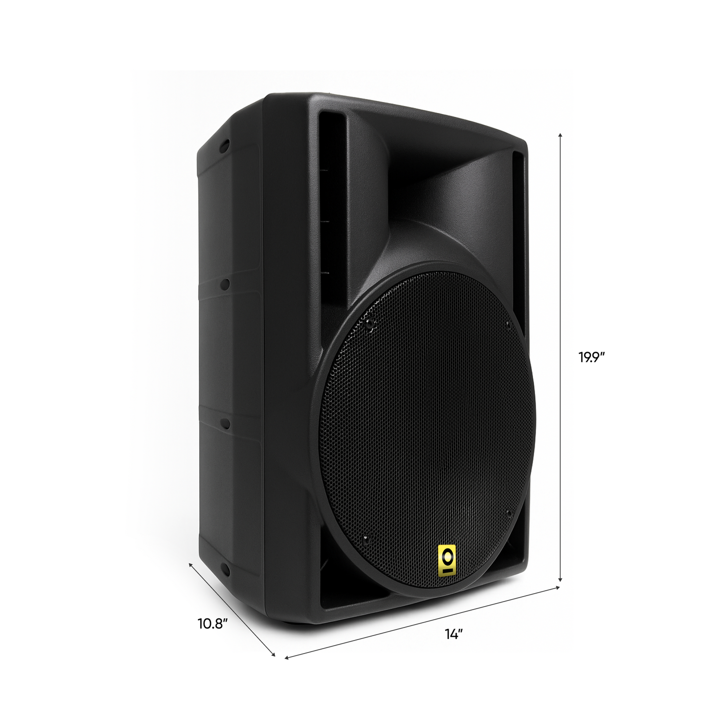 10 Inch 300W PA System with XLR Microphone and Carry Case