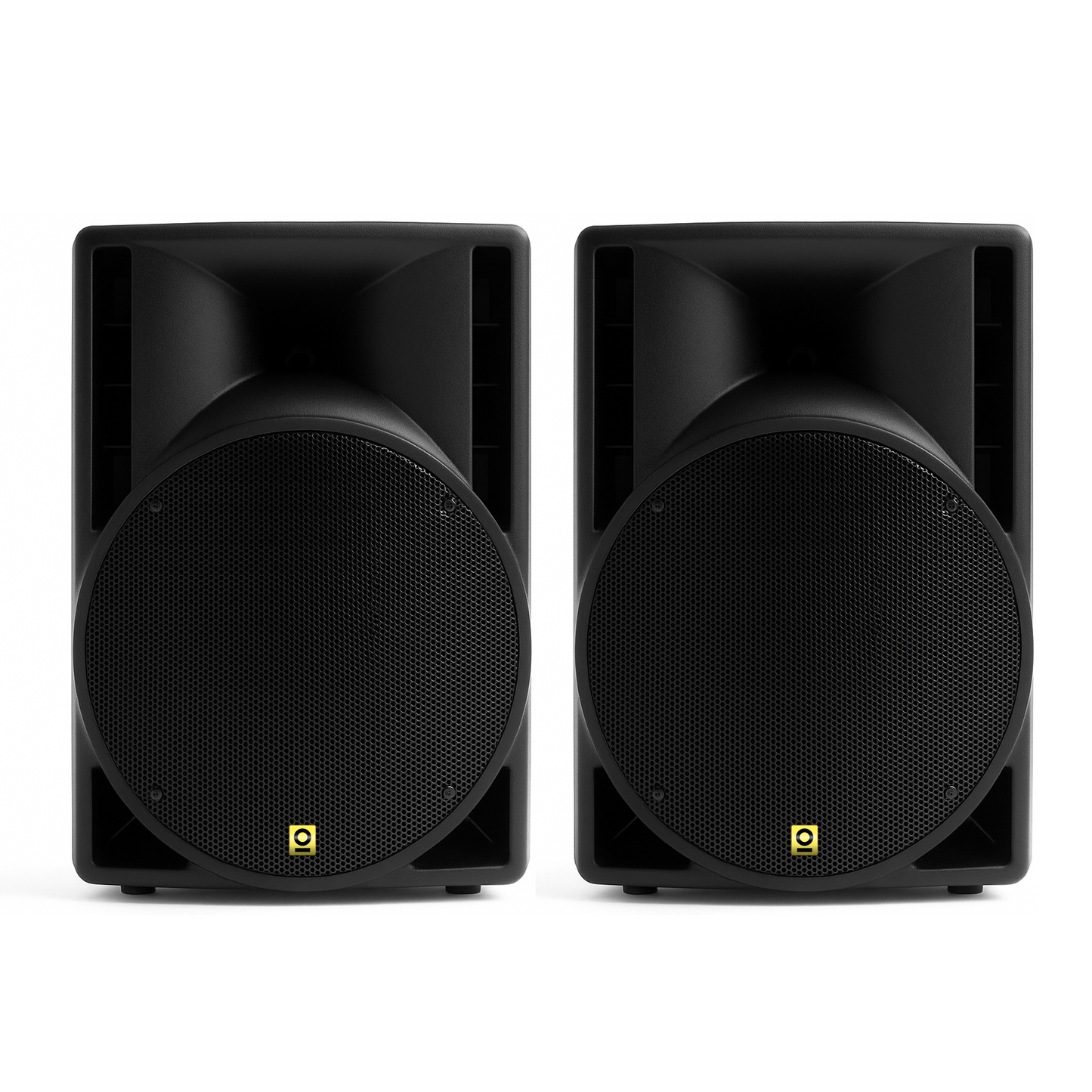 10 Inch PA Pro Speaker Kit
