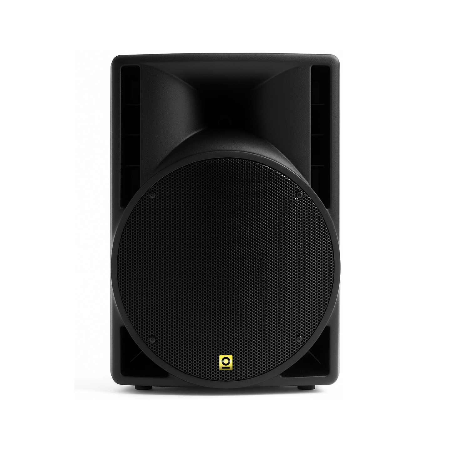 10 Inch PA Pro Speaker Kit