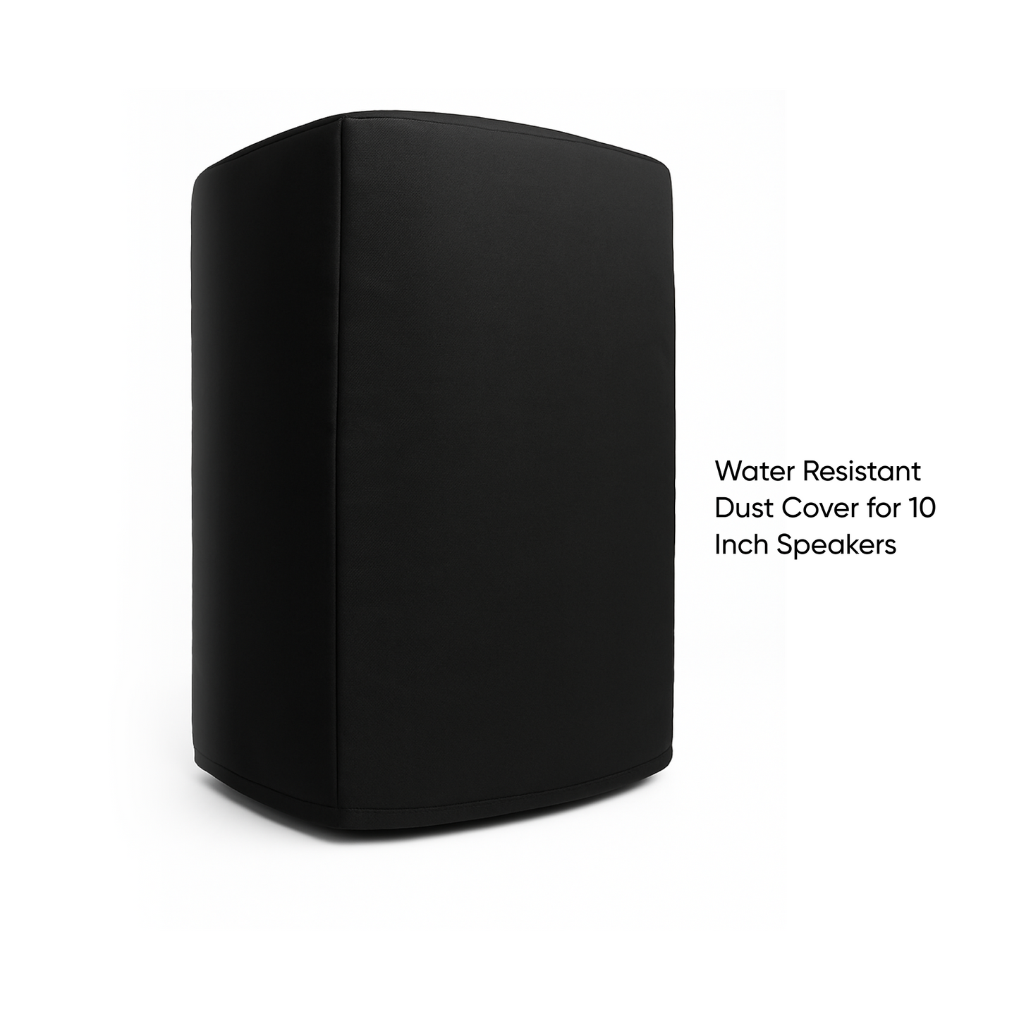 10 Inch PA Pro Speaker Kit