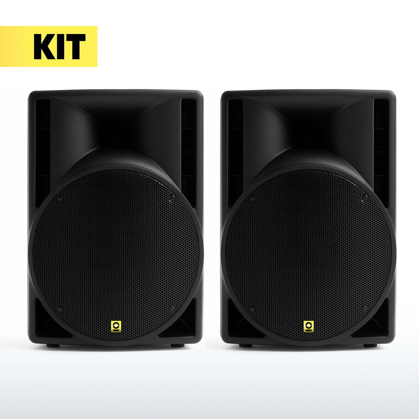 10 Inch PA Pro Speaker Kit