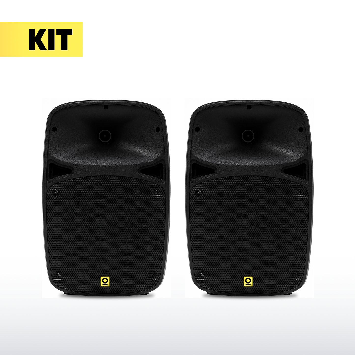 8 Inch PA Speaker Kit