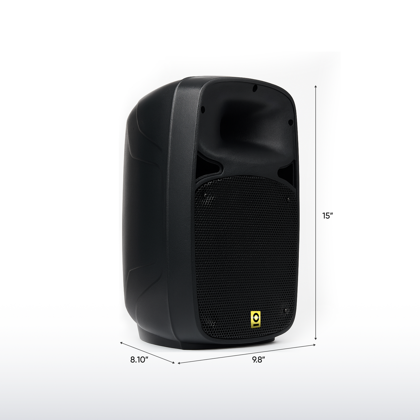 8 Inch PA Speaker Kit