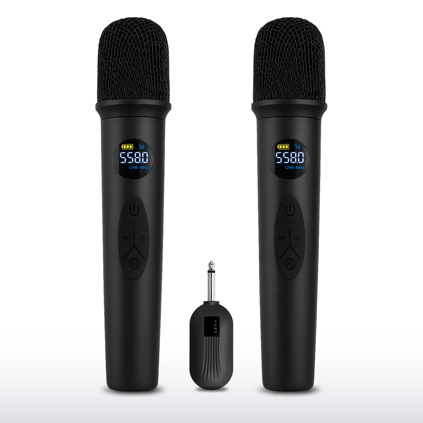 Duo Wireless Microphone