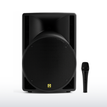 10 Inch Pro Active PA Speaker Kit