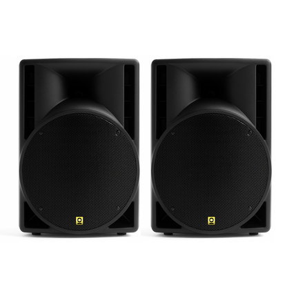 10 Inch PA Pro Speaker Kit