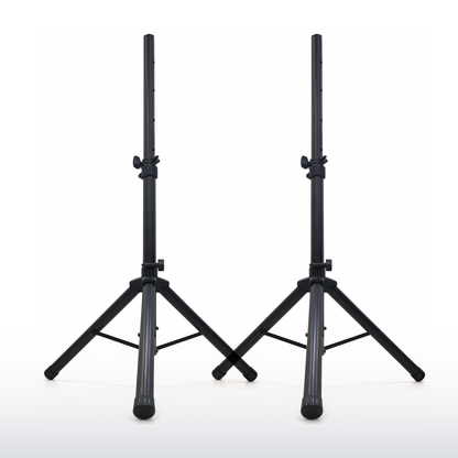 10 Inch PA Pro Speaker Kit