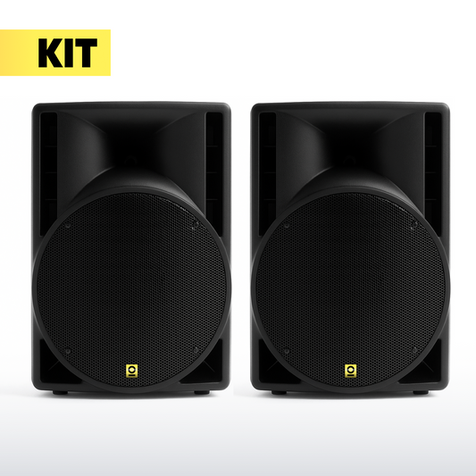 10 Inch PA Pro Speaker Kit