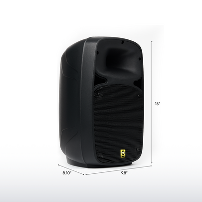 8 Inch PA Speaker Kit