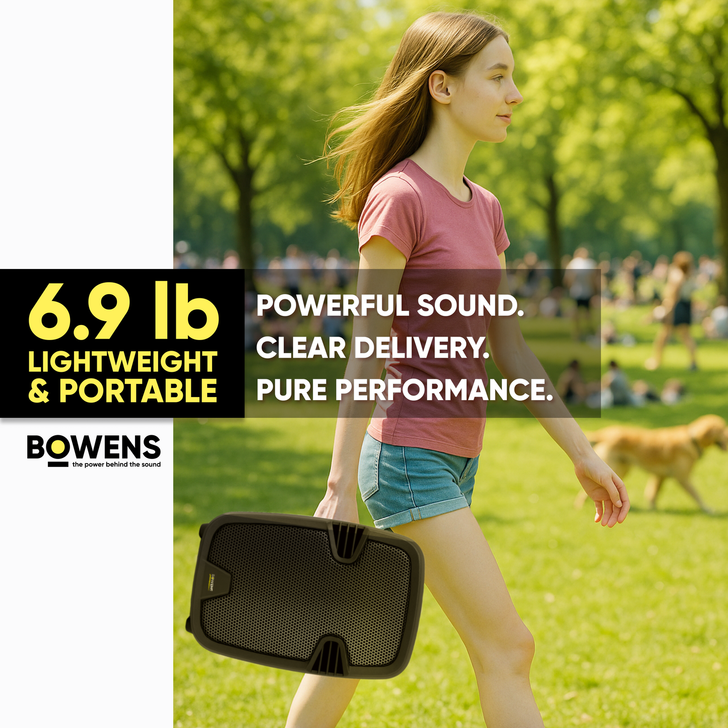 8 Inch PA Speaker System Kit